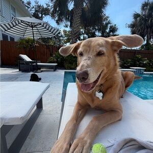 Meet your Posher, Maggie